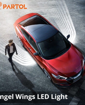 Angel Wings Car Shadow Light