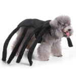 Halloween Spider Costume for Dog