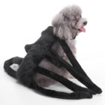 Halloween Spider Costume for Dog 3