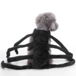 Halloween Spider Costume for Dog 1